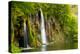 Waterfall-SJ Travel Photo and Video-Premier Image Canvas