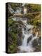 Waterfall-Dan Sproul-Stretched Canvas