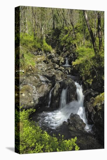 Waterfalls at Wood of Cree, Near Newton Stewart, Dumfries and Galloway, Scotland, United Kingdom-Gary Cook-Premier Image Canvas