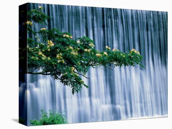 Waterfalls, Kamo-River, Kyoto, Japan-Panoramic Images-Premier Image Canvas