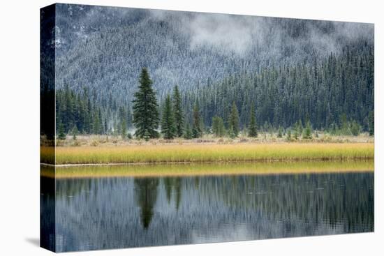 Waterfowl Lake II-Alan Majchrowicz-Stretched Canvas