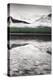 Waterfowl Lake Panel III BW with Color-Alan Majchrowicz-Stretched Canvas