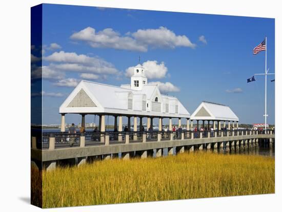 Waterfront Park Pier, Charleston, South Carolina, United States of America, North America-Richard Cummins-Premier Image Canvas