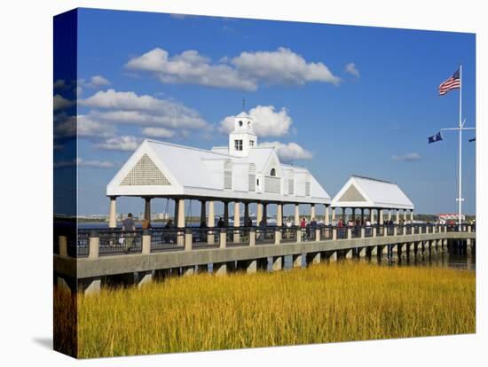 Waterfront Park Pier, Charleston, South Carolina, United States of America, North America-Richard Cummins-Premier Image Canvas