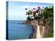 Waterfront Walkway, Fort San Felipe Del Morro, San Juan, Puerto Rico, USA, Caribbean-Miva Stock-Premier Image Canvas