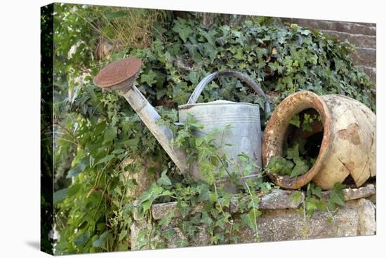 Watering Can And Broken Pot-Tony Craddock-Premier Image Canvas