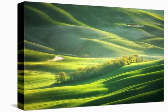 Watering-Marcin Sobas-Premier Image Canvas