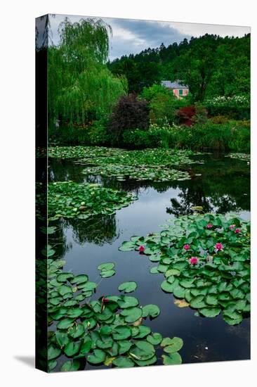 Waterlies in Front of Monet's House, Giverny, Normandy, France, Europe-James Strachan-Premier Image Canvas