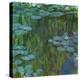 Waterlilies at Giverny, 1918-Claude Monet-Premier Image Canvas