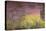 Waterlilies at Sunset, 1915-26-Claude Monet-Premier Image Canvas