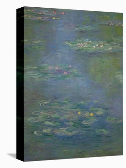 Waterlilies, Detail, 1903-Claude Monet-Premier Image Canvas