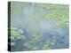 Waterlilies-Claude Monet-Premier Image Canvas