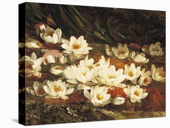 Waterlilies-William Jabez Muckley-Premier Image Canvas