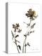 Watermark Wildflowers VI-Jennifer Goldberger-Stretched Canvas