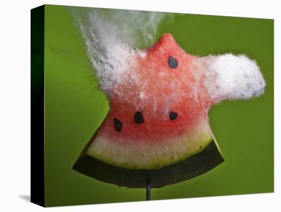 Watermelon Explosion-Alan Sailer-Premier Image Canvas