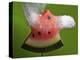 Watermelon Explosion-Alan Sailer-Premier Image Canvas