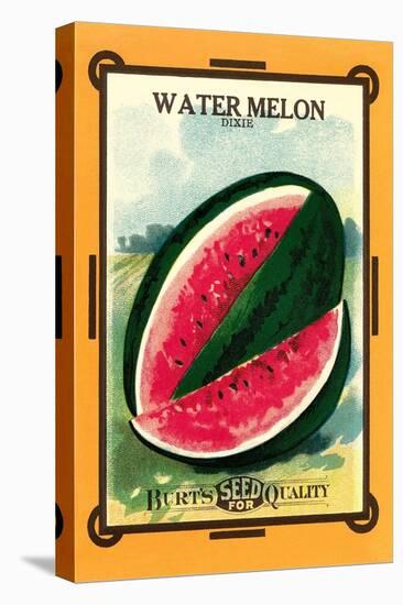 Watermelon Seed Packet-null-Stretched Canvas