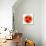 Watermelon Slice-Steve Gadomski-Premier Image Canvas displayed on a wall