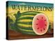 Watermelons-Diane Pedersen-Stretched Canvas