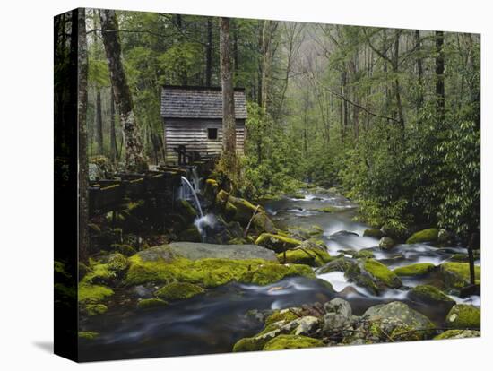 Watermill By Stream in Forest, Roaring Fork, Great Smoky Mountains National Park, Tennessee, USA-Adam Jones-Premier Image Canvas