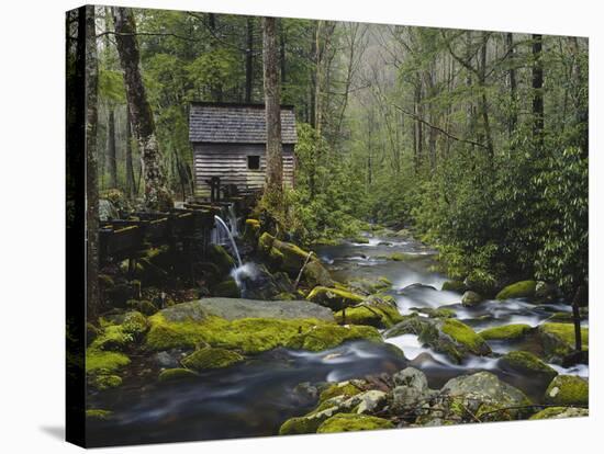 Watermill in Forest by Stream, Roaring Fork, Great Smoky Mountains National Park, Tennessee, USA-Adam Jones-Premier Image Canvas