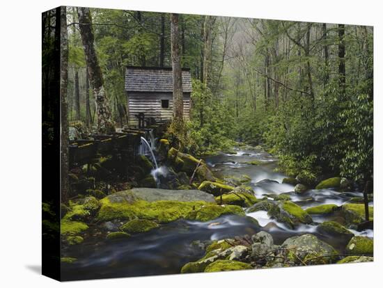 Watermill in Forest by Stream, Roaring Fork, Great Smoky Mountains National Park, Tennessee, USA-Adam Jones-Premier Image Canvas