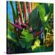 WaterPalm 03-Rick Novak-Stretched Canvas