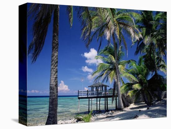 Waterside Restaurant Beneath Palms, Old Man Bay, Grand Cayman, Cayman Islands, West Indies-Ruth Tomlinson-Premier Image Canvas