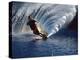 Waterskier with Water Spray-null-Premier Image Canvas