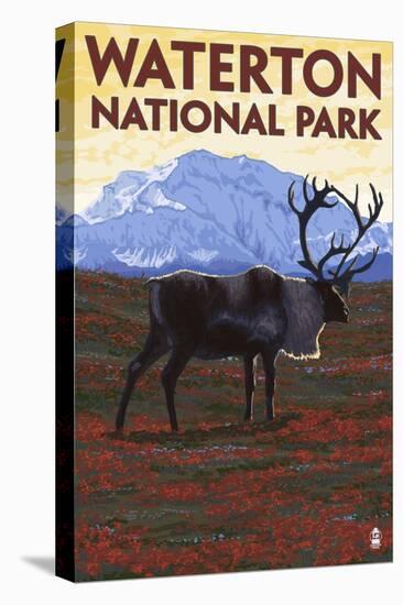 Waterton National Park, Canada - Caribou & Mountain-Lantern Press-Stretched Canvas