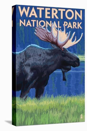 Waterton National Park, Canada - Moose at Night-Lantern Press-Stretched Canvas