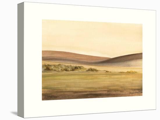 Waterville Fields-Sammy Sheler-Premier Image Canvas