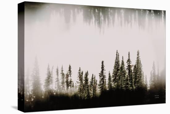 Waterwood-Nathan Larson-Premier Image Canvas