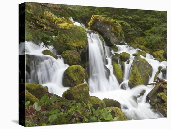 Watson Creek, Oregon, USA-William Sutton-Premier Image Canvas