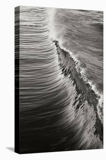 Wave 4-Lee Peterson-Premier Image Canvas