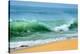 Wave of the Ocean-byrdyak-Premier Image Canvas
