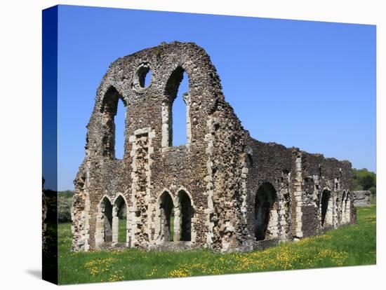 Waverley Abbey, Near Farnham, Surrey, England, United Kingdom, Europe-Rolf Richardson-Premier Image Canvas