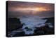 Waves braking on the coast, Coral Sea, Surfers Paradise, Queensland, Australia-Panoramic Images-Premier Image Canvas