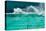 Waves Breaking over Edge of Pool of Bondi Icebergs Swim Club, Bondi Beach, Sydney-null-Premier Image Canvas