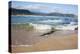 Waves Crashing Ashore at Nature Valley Beach-Kim Walker-Premier Image Canvas