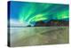 Waves crashing on frozen Haukland Beach under the Northern Lights (Aurora Borealis), Leknes-Roberto Moiola-Premier Image Canvas