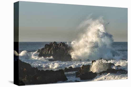 Waves Crashing on Rocks at Sunset, Asilomar State Beach, California-Sheila Haddad-Premier Image Canvas