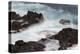 Waves crashing over lava rocks on shoreline of Espanola Island, Galapagos Islands, Ecuador.-Adam Jones-Premier Image Canvas