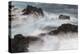 Waves crashing over lava rocks on shoreline of Espanola Island, Galapagos Islands, Ecuador.-Adam Jones-Premier Image Canvas