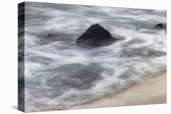 Waves crashing over lava rocks on shoreline of Espanola Island, Galapagos Islands, Ecuador.-Adam Jones-Premier Image Canvas