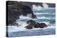 Waves crashing over lava rocks on shoreline of Espanola Island, Galapagos Islands, Ecuador.-Adam Jones-Premier Image Canvas