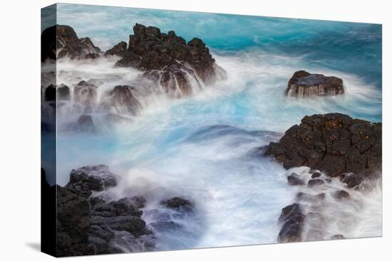 Waves crashing over lava rocks on shoreline of Espanola Island, Galapagos Islands, Ecuador.-Adam Jones-Premier Image Canvas