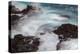 Waves crashing over lava rocks on shoreline of Espanola Island, Galapagos Islands, Ecuador.-Adam Jones-Premier Image Canvas