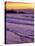 Waves near Yaquina Head Lighthouse at Sunset, Newport, Oregon Coast, USA-Janis Miglavs-Premier Image Canvas