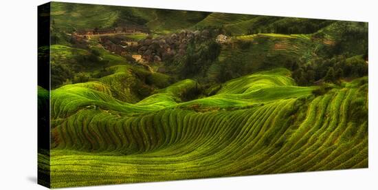 Waves of Rice - the Dragon's Backbone-Max Witjes-Premier Image Canvas